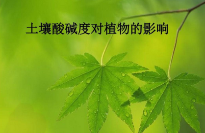 土壤酸堿度檢測(cè)儀